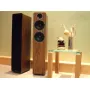 Напольная акустика Acoustic Energy AE 109 (2017) Walnut vinyl veneer